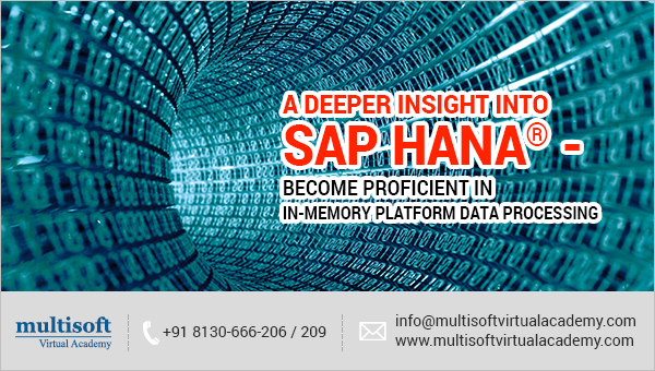 A Deeper Insight into SAP HANA® - Become proficient in in-memory platform data processing