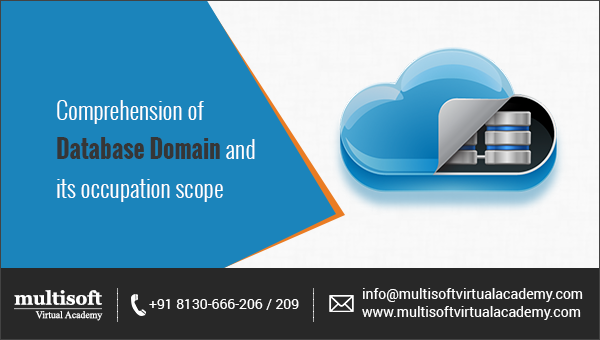 Comprehension of Database Domain and its occupation scope