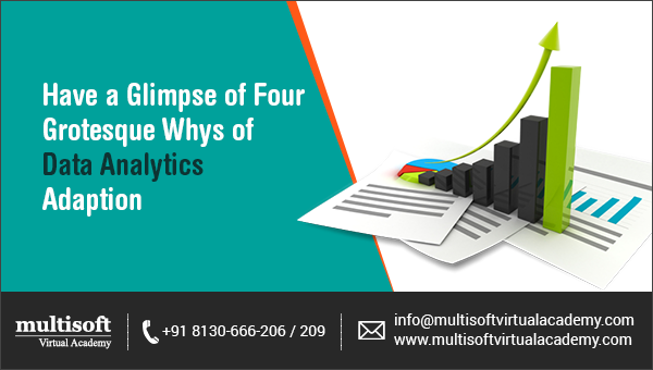 Have a Glimpse of Four Grotesque Whys of Data Analytics Adaption