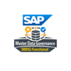 SAP MDG Functional