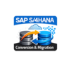 SAP S/4HANA Conversion & Migration Training